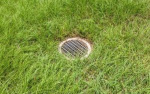 A septic tank drain in the middle of a back yard